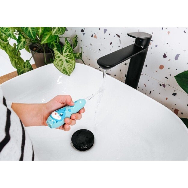 El. dantų &scaron;epetėlis ZK3020 CONCEPT 4