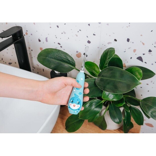 El. dantų &scaron;epetėlis ZK3020 CONCEPT