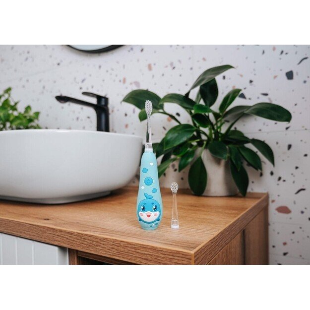 El. dantų &scaron;epetėlis ZK3020 CONCEPT 12