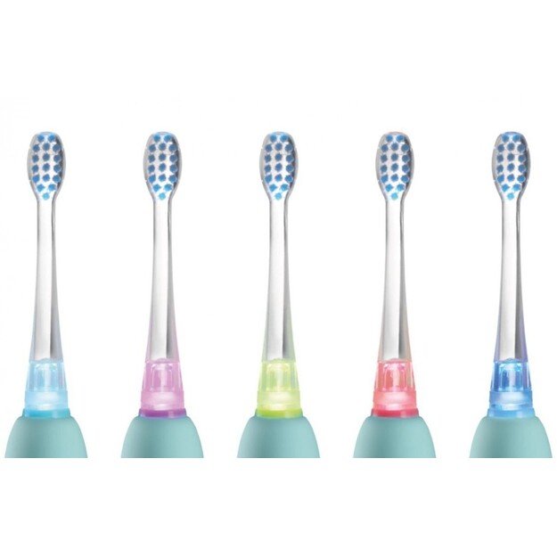 El. dantų &scaron;epetėlis ZK3020 CONCEPT 9