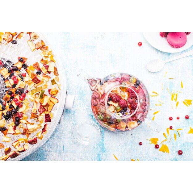 Maisto džiovintuvas MPM MSG-11 1