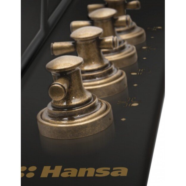 HANSA BHGA620390