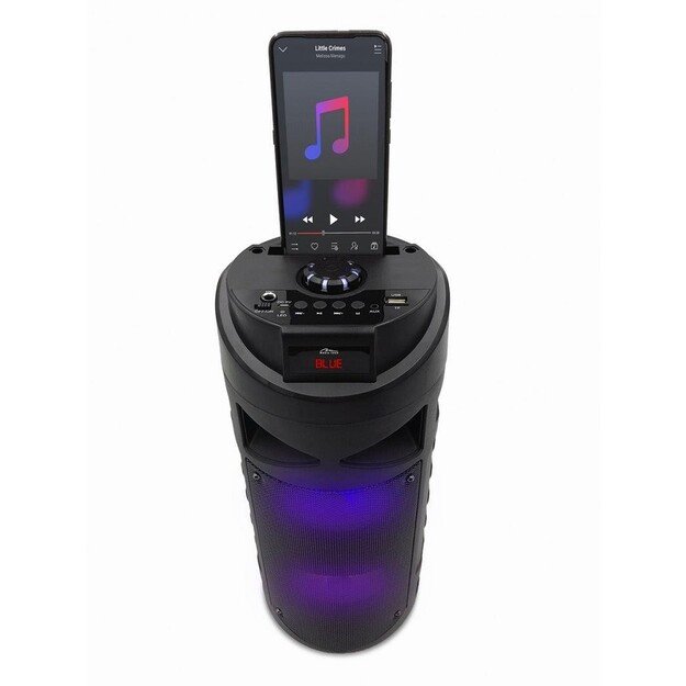 Partybox Keg BT MT3165 Wireless Speaker