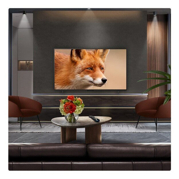 Televizorius 83  LG OLED83C54LA