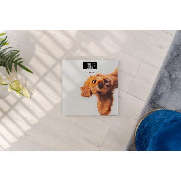 Zelmer ZBS1010 Crazy dog 4