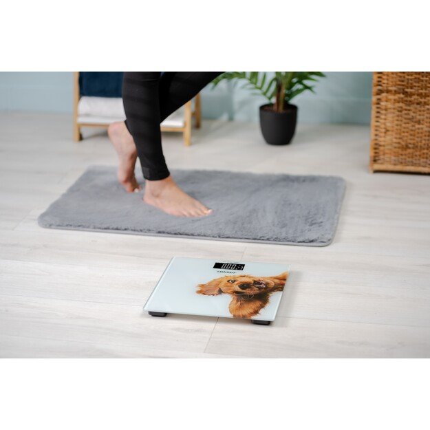 Zelmer ZBS1010 Crazy dog 2