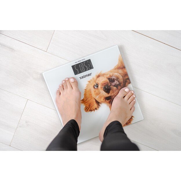 Zelmer ZBS1010 Crazy dog 3