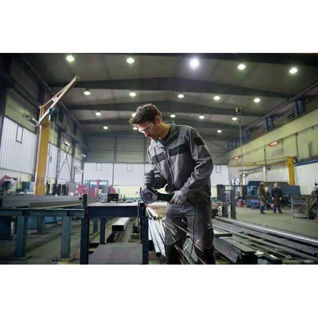 Bosch GWS 17-125 S angle grinder 12.5 cm 11500 RPM 1700 W 2.2 kg 14