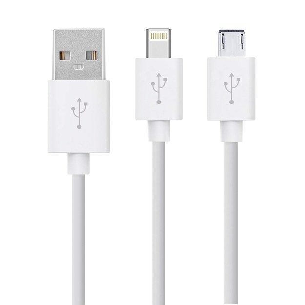 Rio USB Teeth Whitening
