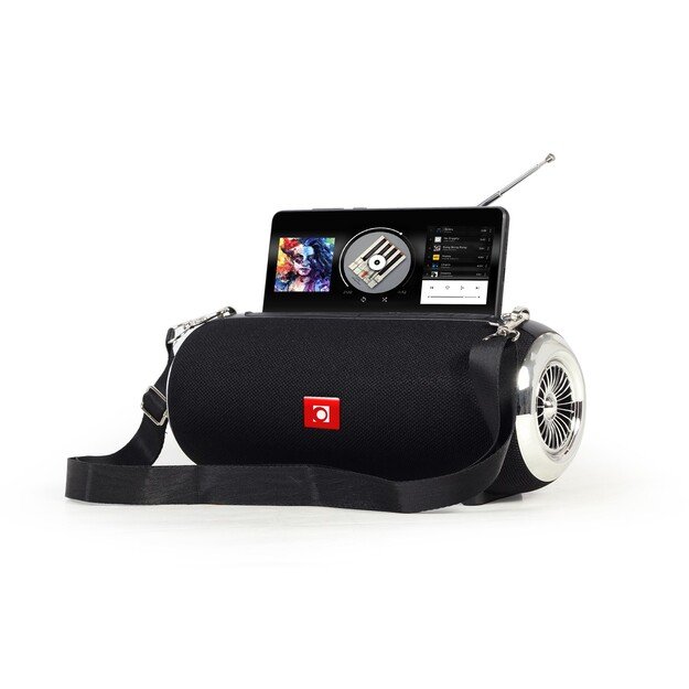 Gembird SPK-BT-17 portable Bluetooth speaker with FM-radio, black 2