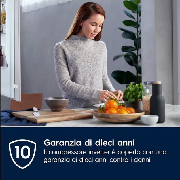 Electrolux LNT6NE18S Built-in 257 L E White 2