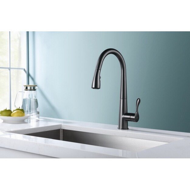 Virtuvinis maišytuvas su ištraukiama žarna Blue Water Stabili, grafito spalvos 1