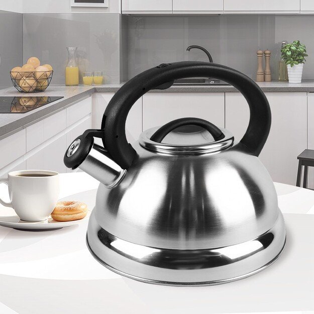 Non-electric kettle MAESTRO MR-1313 4