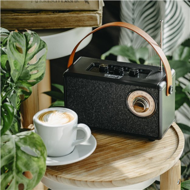 Speaker with radio | CR 1902 B | 5 W | Bluetooth | Black | Wireless connection