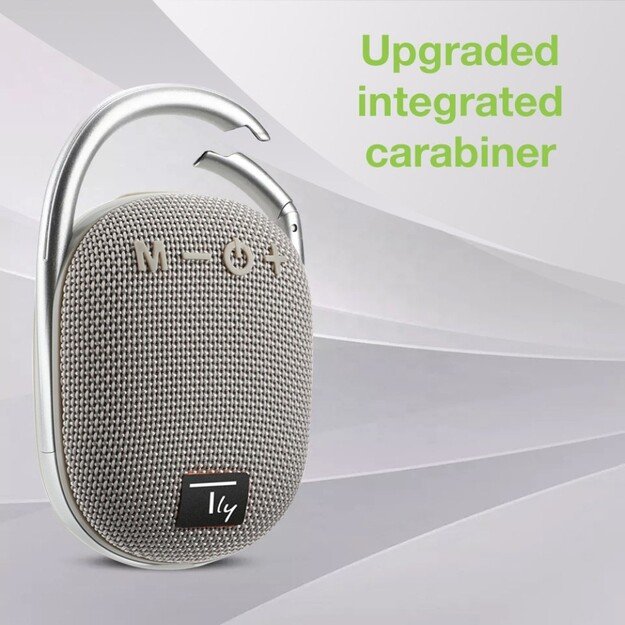 Techly ICASBL321GR portable speaker Mono portable speaker Grey 5 W