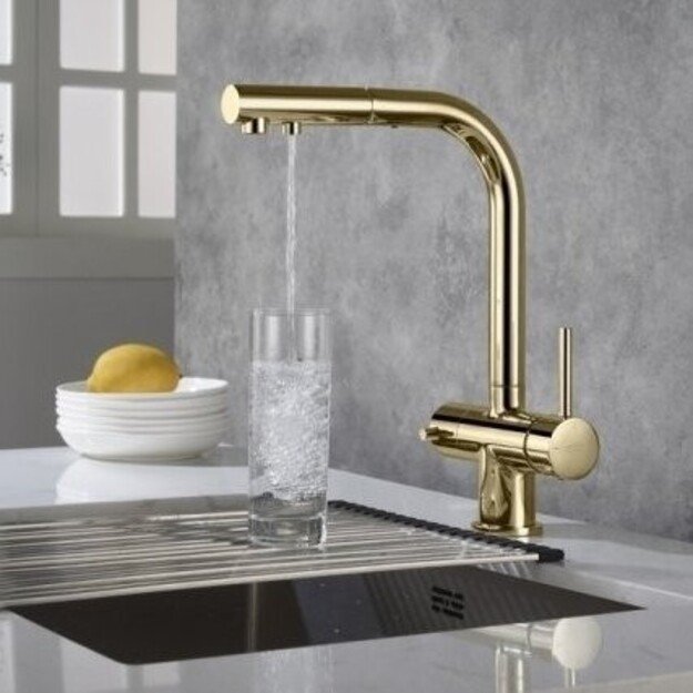 Virtuvinis mai&scaron;ytuvas su i&scaron;traukiama žarna ir jungtimi filtrui Blue Water APALA, 5901730616262 aukso