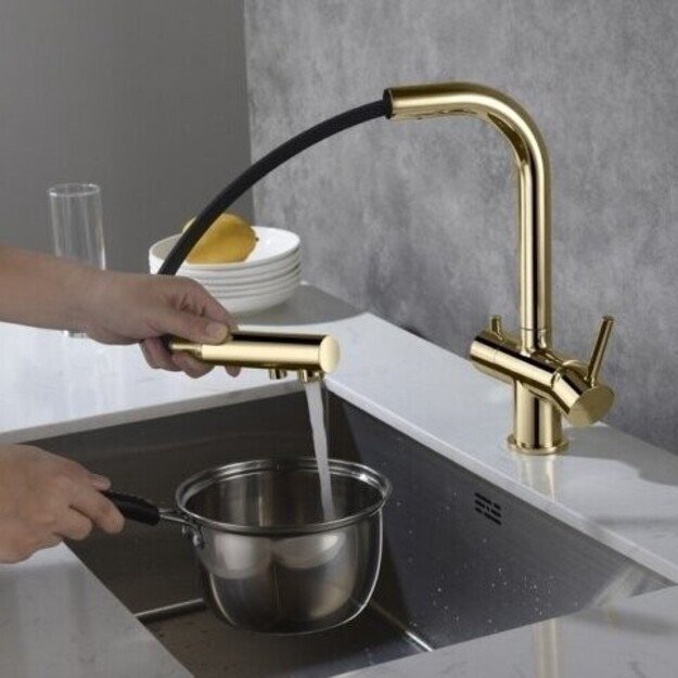 Virtuvinis mai&scaron;ytuvas su i&scaron;traukiama žarna ir jungtimi filtrui Blue Water APALA, 5901730616262 aukso 1