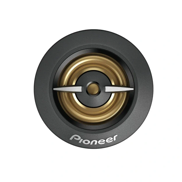 Pioneer TS-A301TW