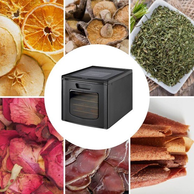 Maisto džiovyklė First FA-5126-9