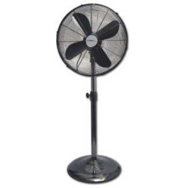 Ventiliatorius First 5564