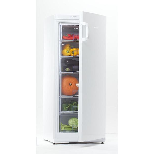 SNAIGE F 22SM-T1000E1