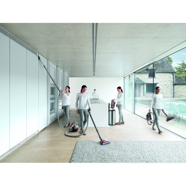 Dyson Cinetic Big Ball Absolute 2 / grey