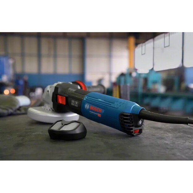 Bosch GWS 17-125 TS angle grinder 12.5 cm 9700 RPM 1700 W 2.2 kg 10