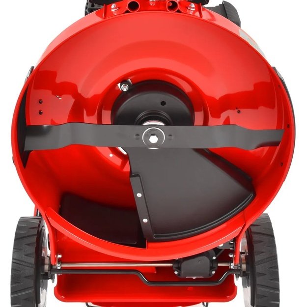 HECHT 5563 SXE