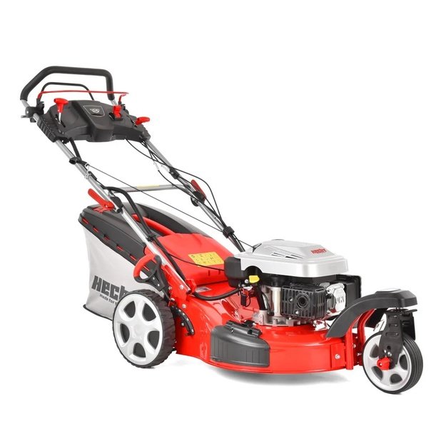 HECHT 5563 SXE
