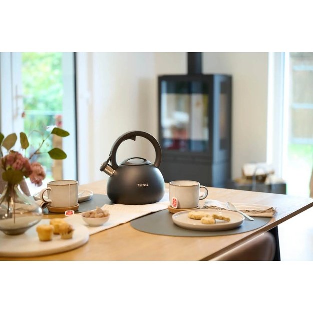 Non-electric kettle TEFAL N4180410