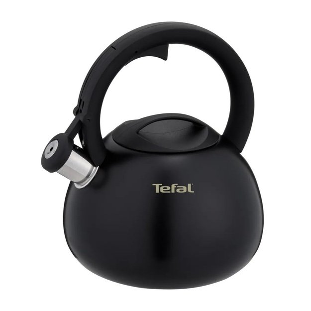 Non-electric kettle TEFAL N4180410