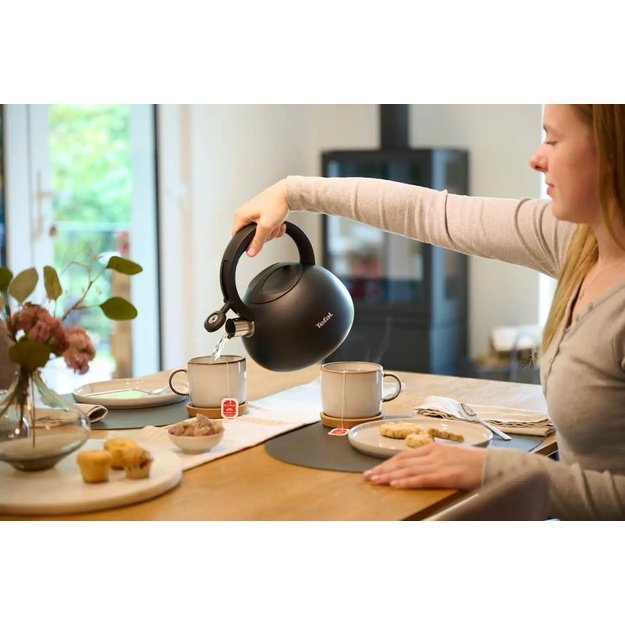 Non-electric kettle TEFAL N4180410