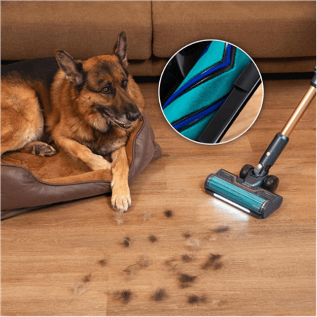 Cecotec Vacuum cleaner | Rockstar RX70 AquaPet Flex Conga | Cordless operating | Stick