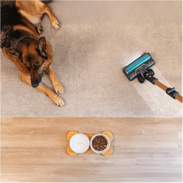 Cecotec Vacuum cleaner | Rockstar RX70 AquaPet Flex Conga | Cordless operating | Stick
