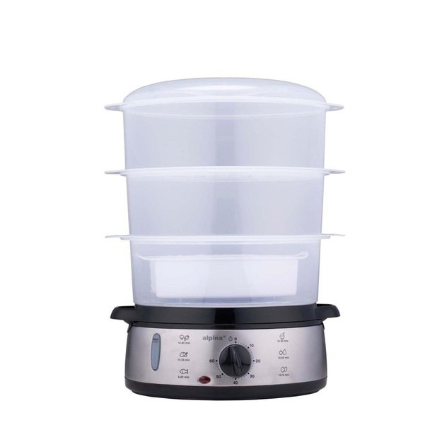 Steamer ALPINA 800W silver