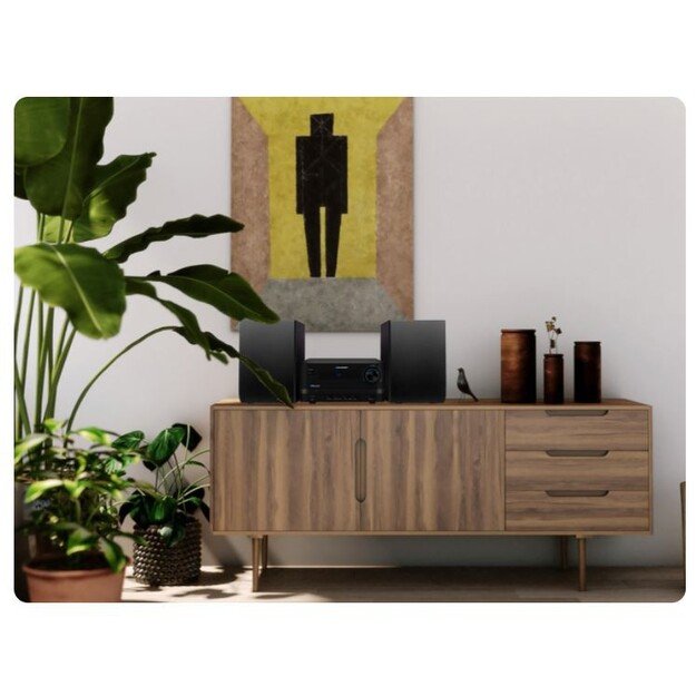 Muzikos centras MS14BT 2