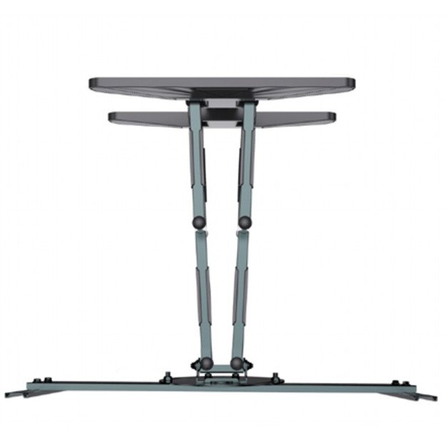 Gembird | Wall mount | WM-80STR-01 | Tilt, swivel, rotate | 40-80   | Maximum weight (capacity) 50 kg | Black 1