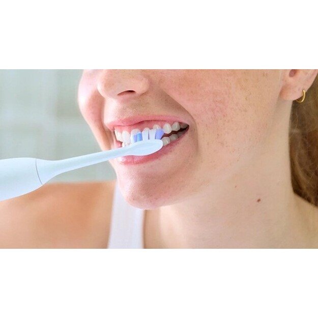 Philips | Replacement brush heads | HX6052 1