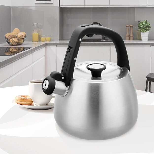 Kettle Maestro MR-1318 2,5 l Silver, Black 5