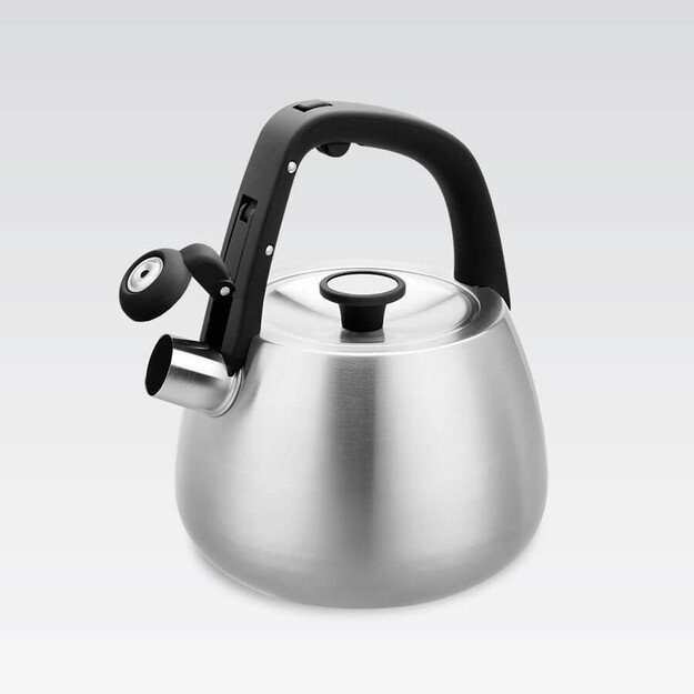 Kettle Maestro MR-1318 2,5 l Silver, Black 4