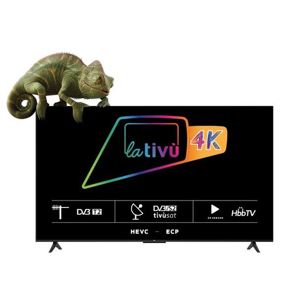 TCL P63 Series 4K Ultra HD 55  55P635 Dolby Audio Google TV 2022