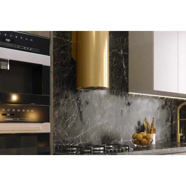 MAAN ELBA WPB 731 GOLDEN GLOSS HOOD 1
