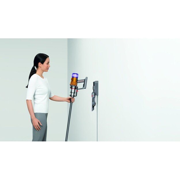 Dulkių siurblys DYSON V12 Detect Slim Absolute