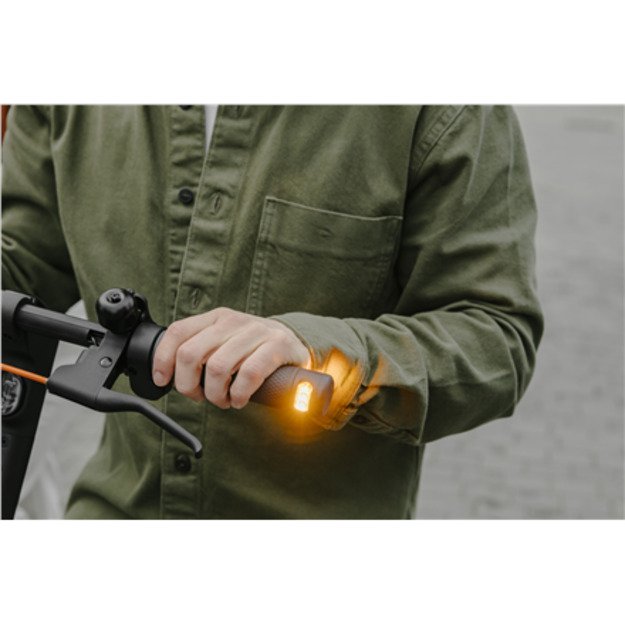 Ninebot by Segway Kickscooter F2 E, Black | Segway | Kickscooter F2 E | Up to 25 km/h | 10   | Black 10