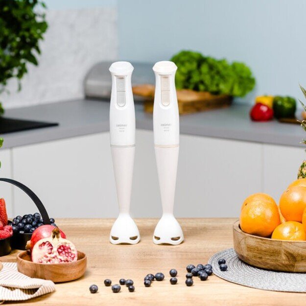 Zelmer ZHB4560I Pulsar 1