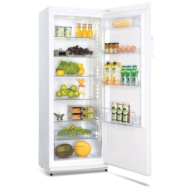 SNAIGE C31SM-T1002E1 1