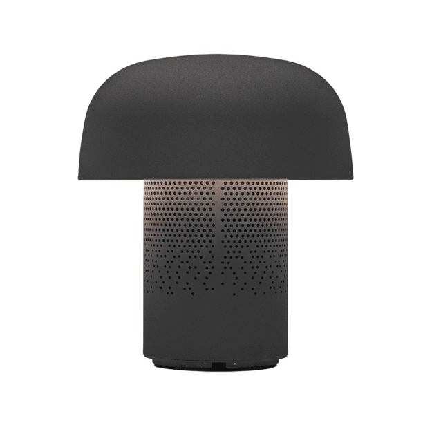 SOUND BY JBL Sensa Play kolonėlė/&scaron;viestuvas su JBL garso sistema, Anthracite