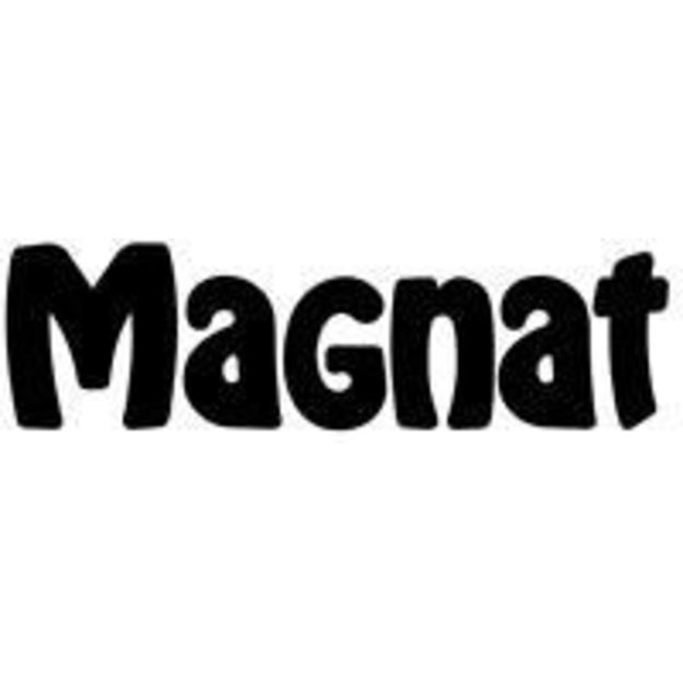 Subwoofer active Magnat Alpha RS12 black