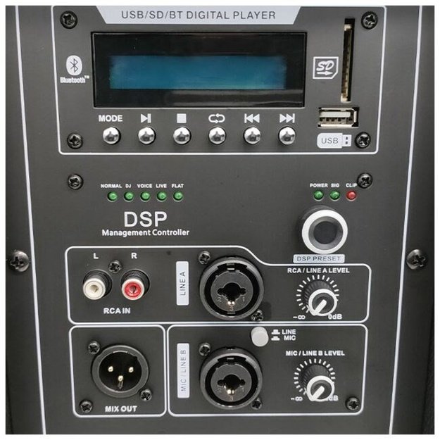 DNA SPX15 DSP Active Loudspeaker 15 