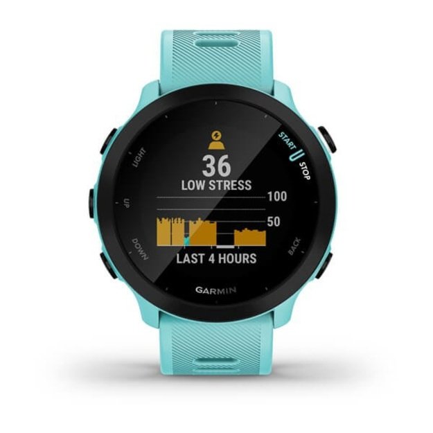 Garmin Forerunner 55 2.64 cm (1.04 ) MIP 42 mm Digital 208 x 208 pixels GPS (satellite)